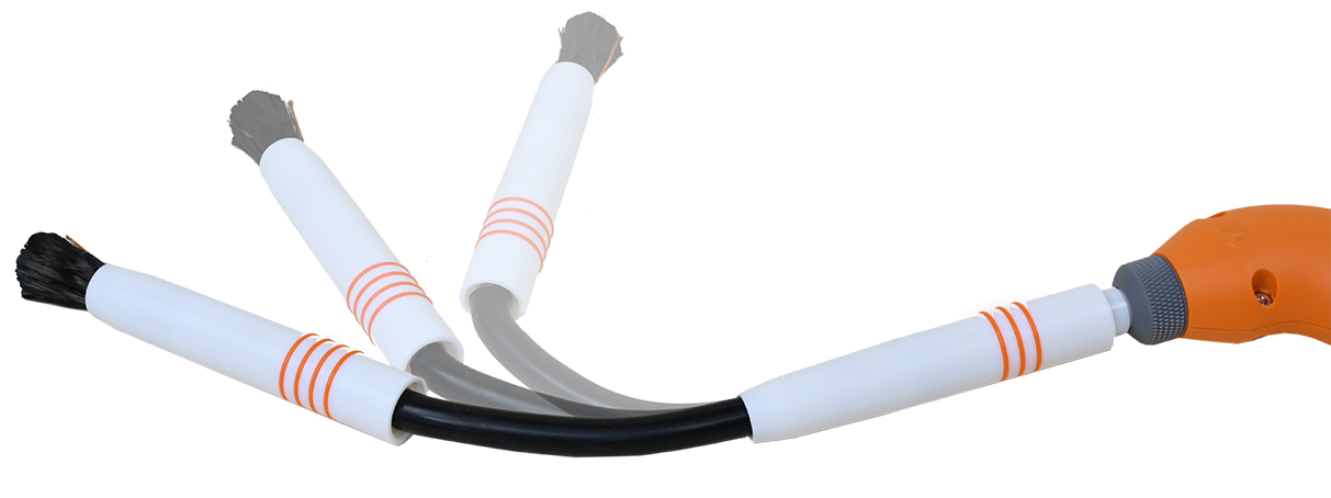 AutoFeed System